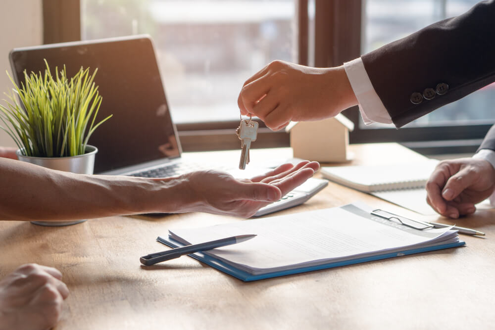 תמונה לכתבה 32