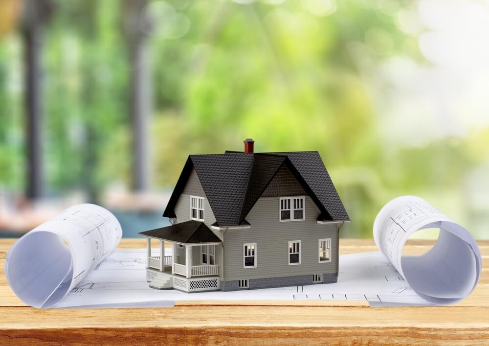 תמונה לכתבה 19